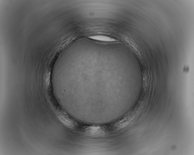 X0000099500406200805291132