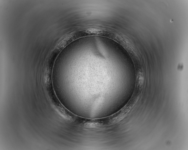 X0000099500408200805291132