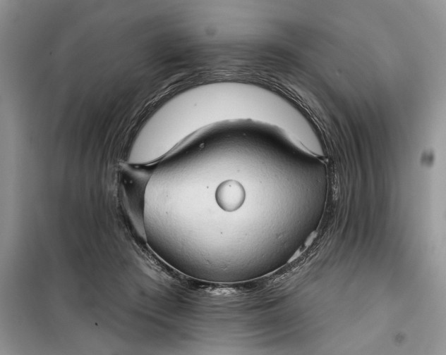 X0000099500409200805291132