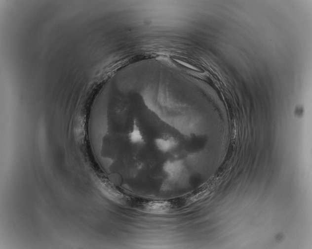 X0000099500410200805291132