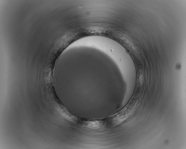 X0000099500411200805291132