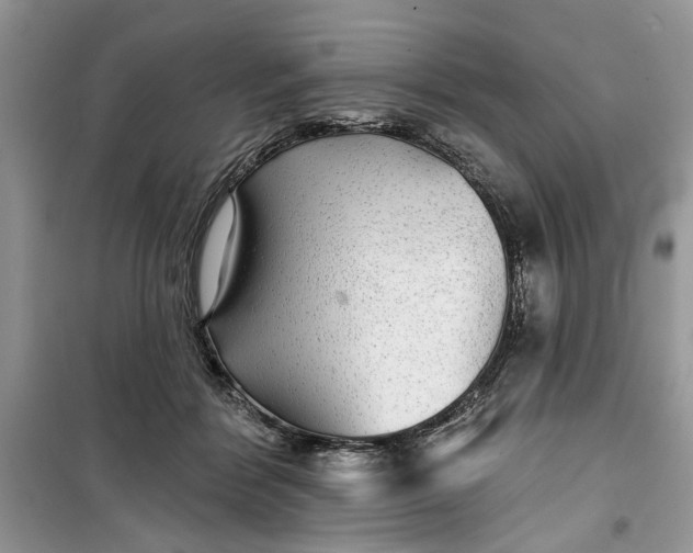 X0000099500412200805291132