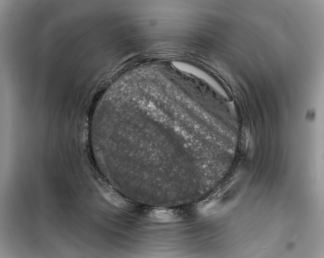 X0000099500413200805291132