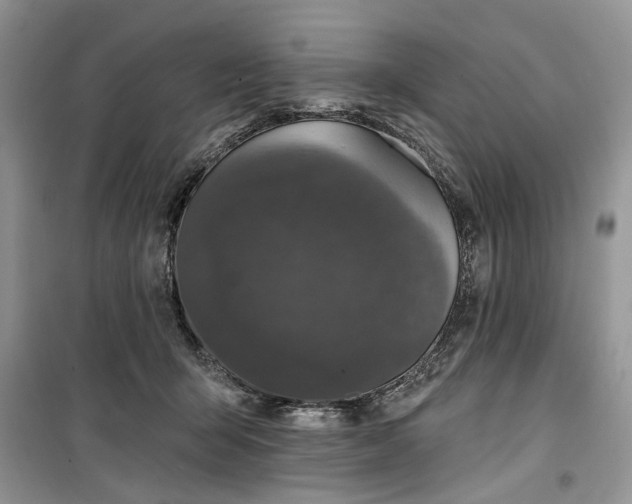 X0000099500415200805291132