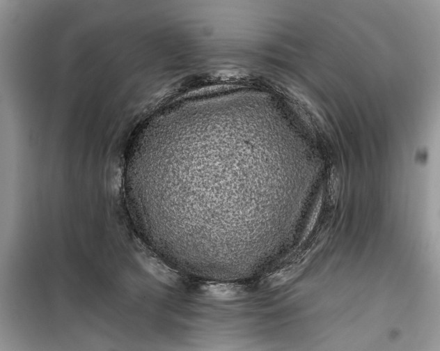 X0000099500417200805291132