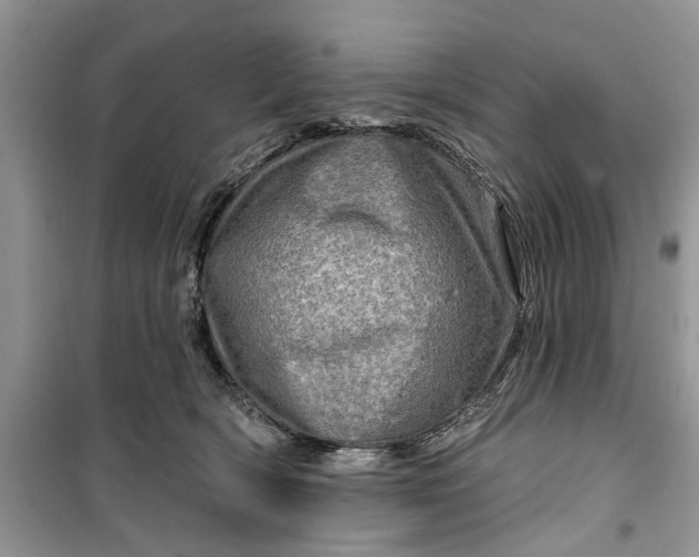 X0000099500418200805291132