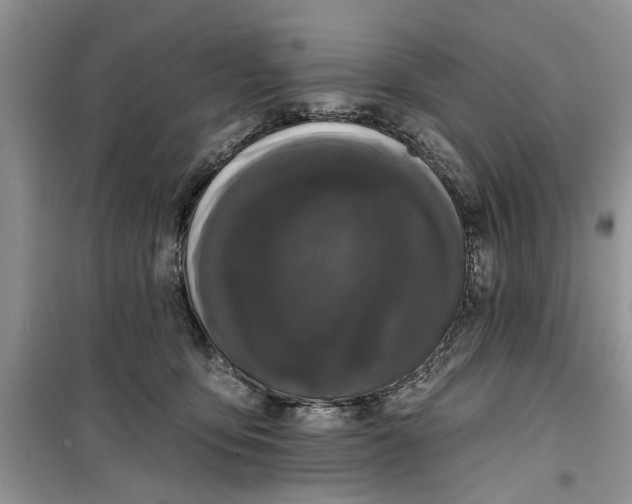 X0000099500419200805291132