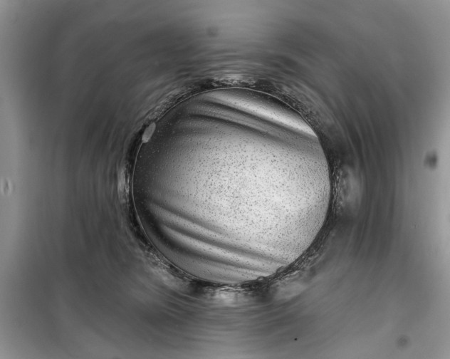 X0000099500420200805291132