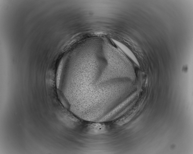 X0000099500421200805291132