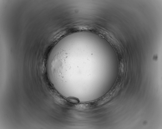 X0000099500422200805291132