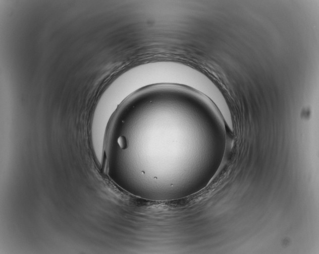 X0000099500423200805291132