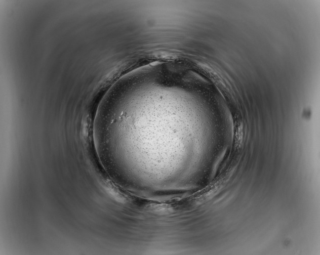 X0000099500424200805291132