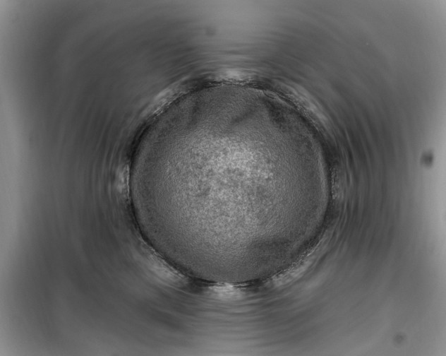 X0000099500425200805291132