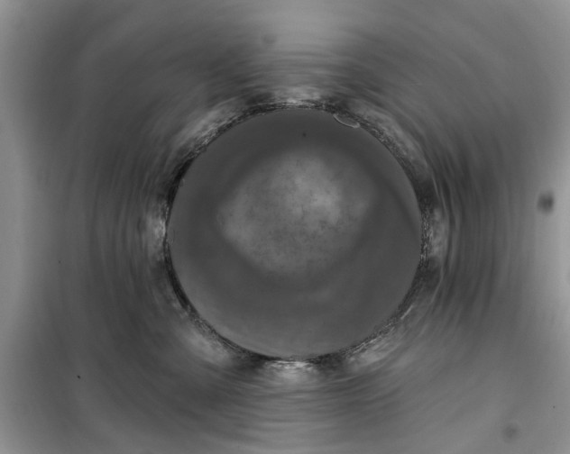 X0000099500427200805291132