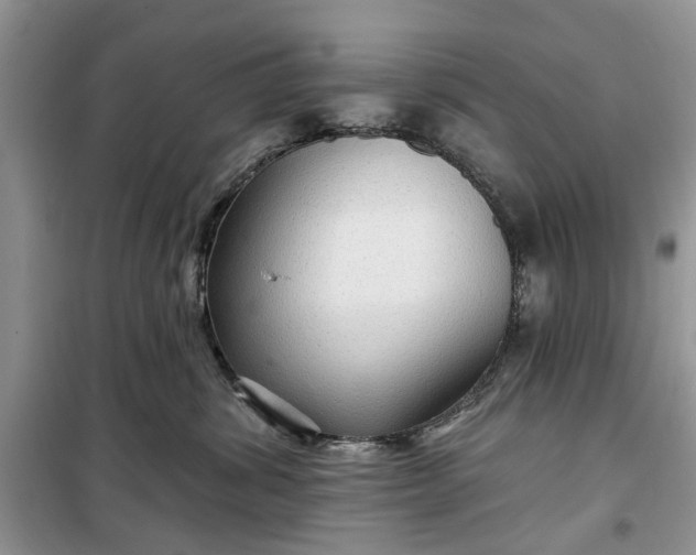 X0000099500428200805291132