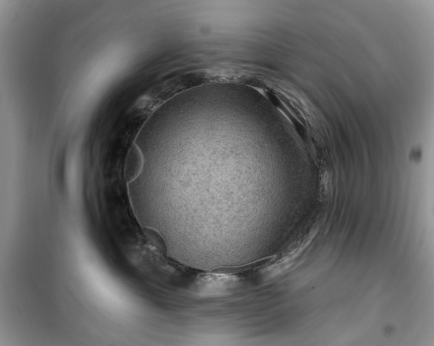 X0000099500429200805291132