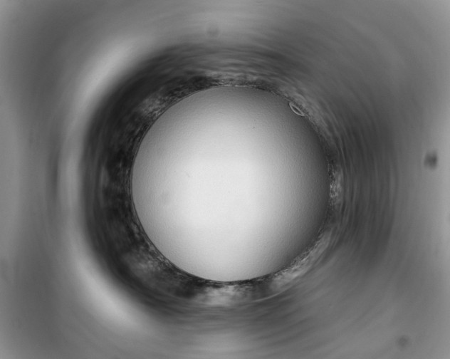 X0000099500430200805291132