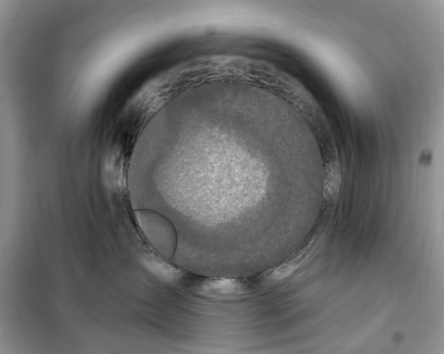 X0000099500431200805291132