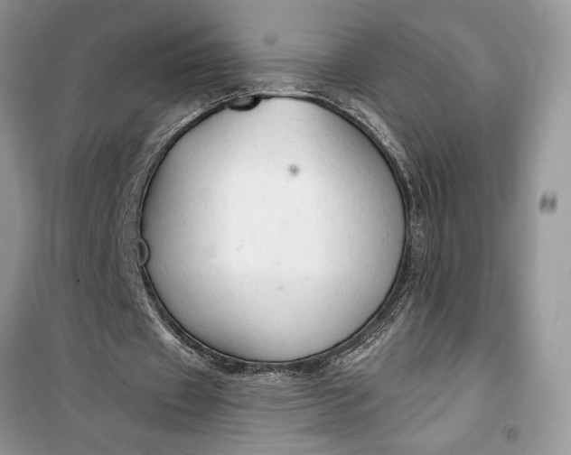 X0000099500433200805291131