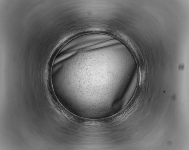 X0000099500435200805291131