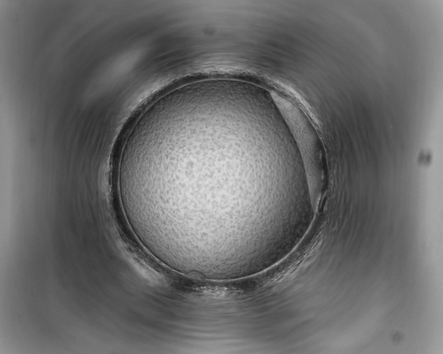 X0000099500439200805291131