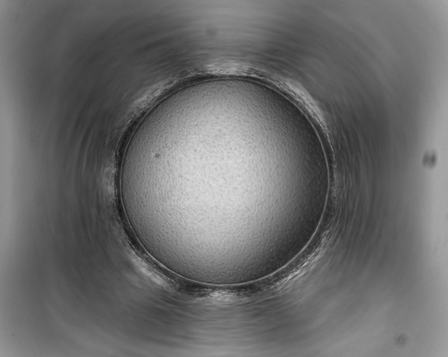 X0000099500441200805291131