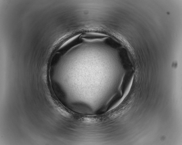 X0000099500442200805291131