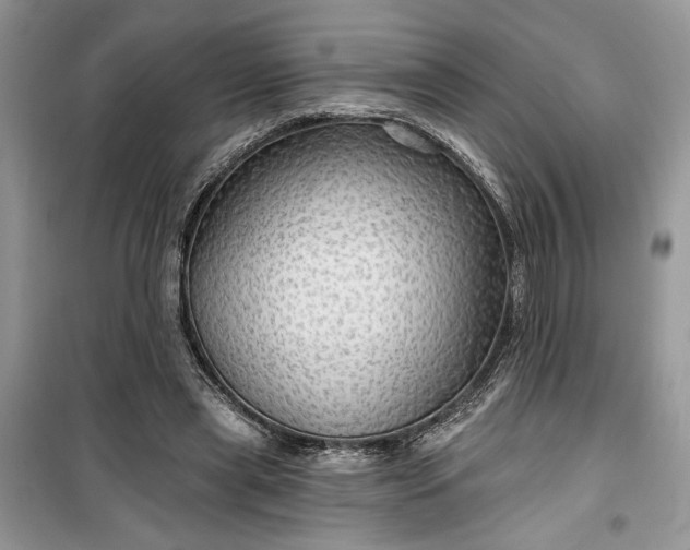 X0000099500445200805291131