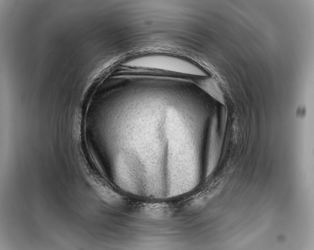 X0000099500446200805291131