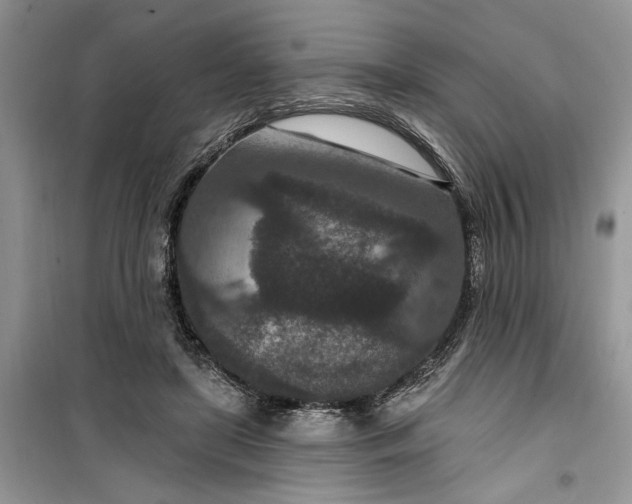 X0000099500451200805291132