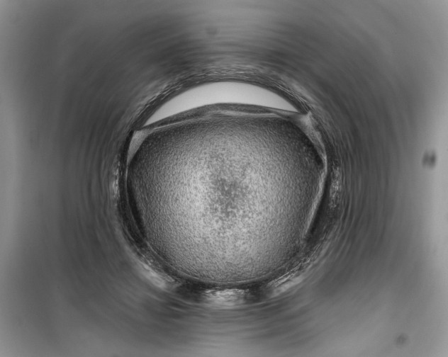 X0000099500452200805291132