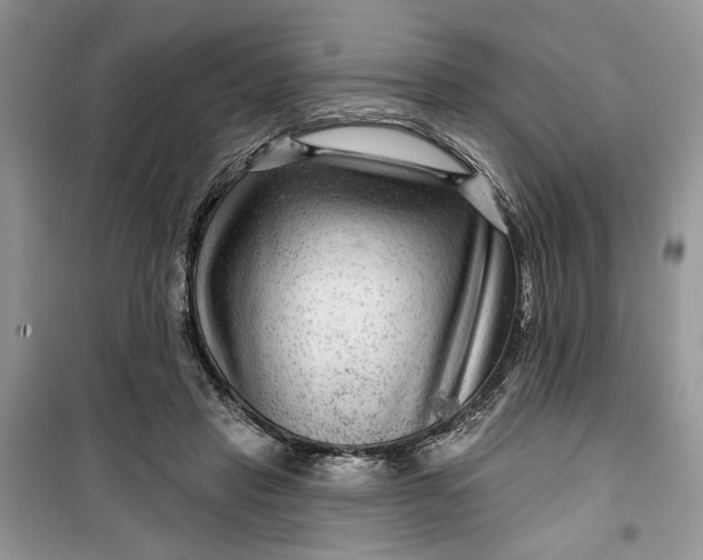 X0000099500453200805291132