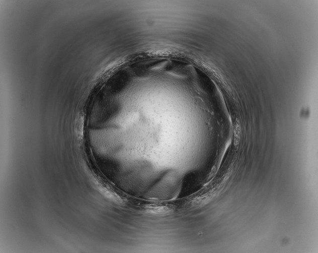 X0000099500454200805291132