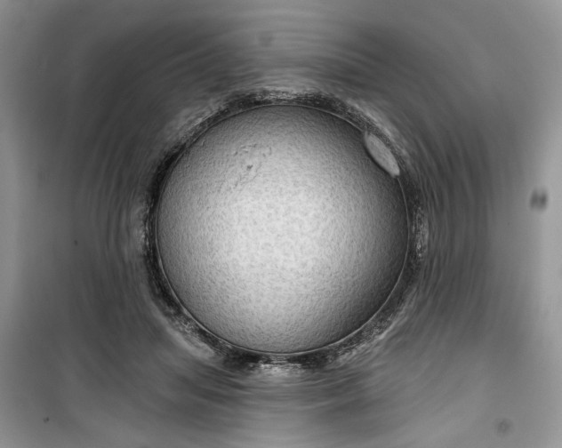 X0000099500455200805291132