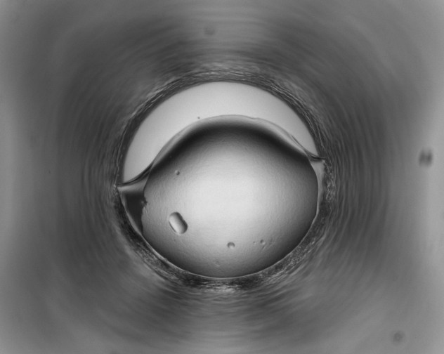 X0000099500456200805291132