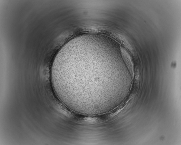 X0000099500457200805291132