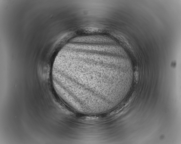 X0000099500458200805291132