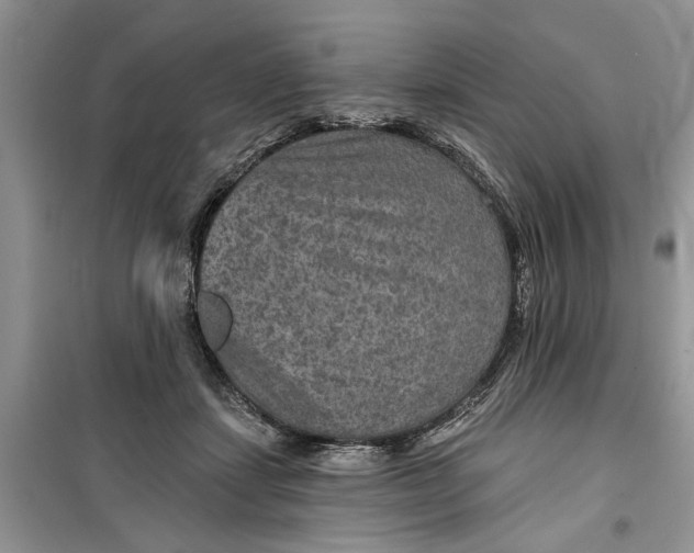 X0000099500459200805291132