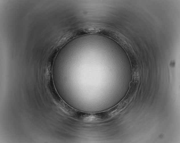 X0000099500460200805291132