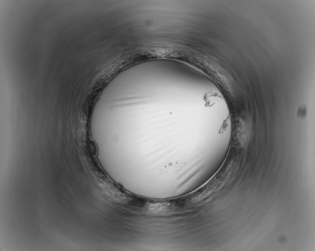 X0000099500461200805291132