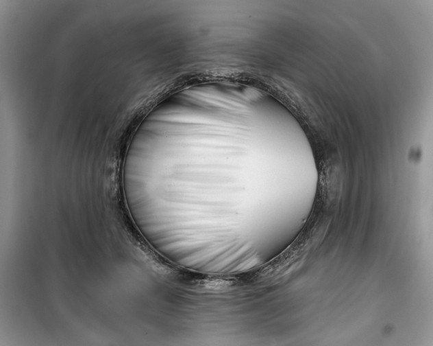 X0000099500462200805291132