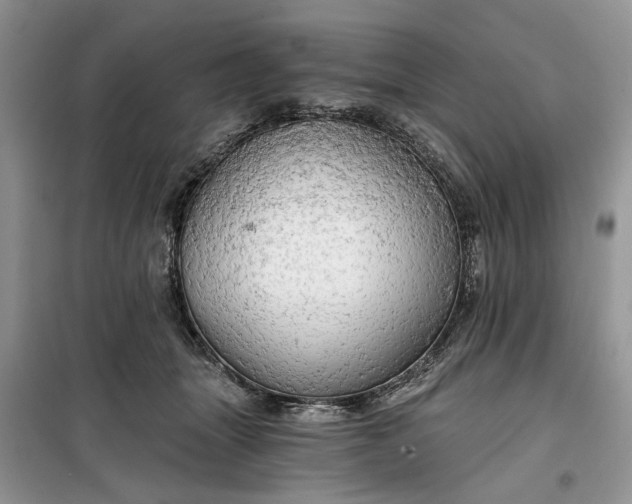 X0000099500463200805291132