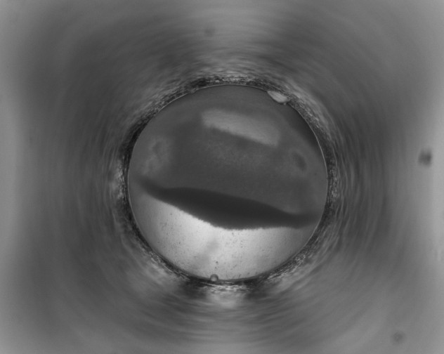 X0000099500465200805291132