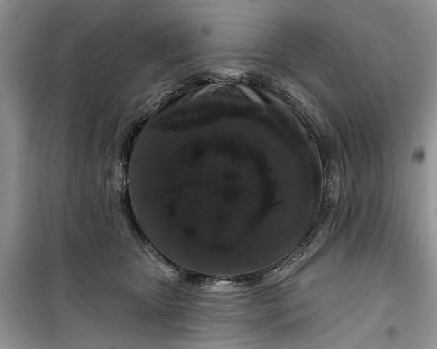 X0000099500467200805291132