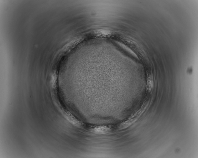 X0000099500468200805291132