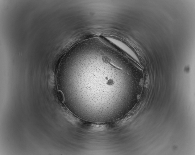 X0000099500469200805291132