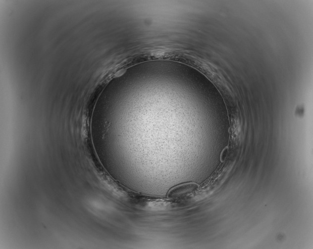 X0000099500470200805291132