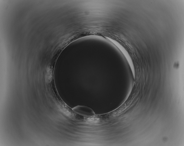 X0000099500471200805291132