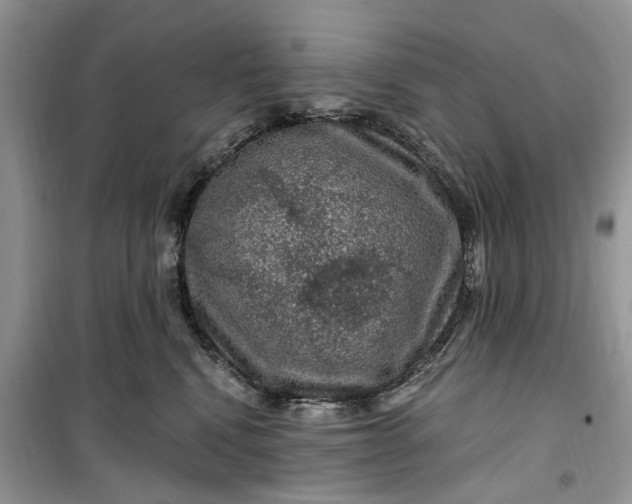 X0000099500472200805291132