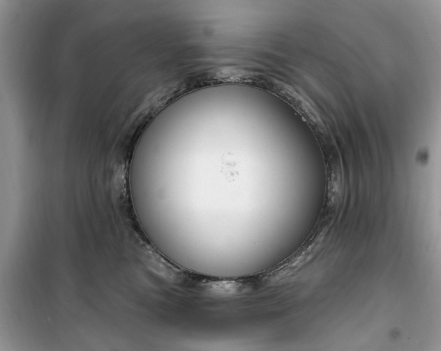 X0000099500473200805291132